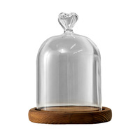 Cloche en verre, dôme de présentation, terrarium avec base en liège, dôme de présentation décoratif pour plantes