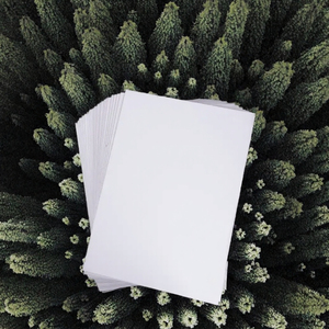 Hot Sale Eco-Friendly Double Side PE Coated Bond <b>Paper</b> 350 GSM White Specialty <b>Paper</b> for Digital <b>Printing</b> Folding Box Board - Product Image 3