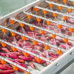 Ligne de production automatique personnalisée de patates douces avec friteuse pour légumes et produits céréaliers, ligne de nettoyage - Product Image 2