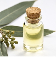 Huile d'eucalyptus liquide, extrait végétal de qualité cosmétique, séchée par atomisation, provenant du Jiangsu