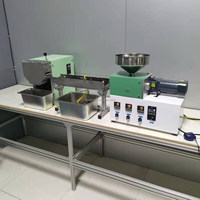 P21 laboratoire petite machine de granulation parallèle à double vis pour laboratoire ligne de granulation en plastique à double deux vis extrusora pe