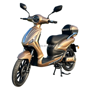 Motos tout-terrain 1000W certifiées CE avec pédales, cadre en fer et batterie 48V - Product Image 4