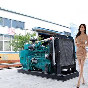 Générateurs diesel EPA 10kW 12kVA 12kW 15kVA 16kW 20kVA 110V 120V 220V 60Hz 240V 380V 400V 50Hz 85kw Puissance - Product Image 5