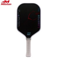 Raquette de pickleball MST USAPA Approved Pro Performance, épaisseur 16 mm, en fibre de carbone nid d'abeille, 40 trous, haute qualité, pour le divertissement