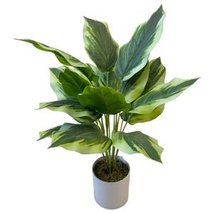 <span class=keywords><strong>ต้น</strong></span>สนบอนไซเทียมขนาด<span class=keywords><strong>เล็ก</strong></span> <span class=keywords><strong>ต้น</strong></span>ไม้ปลอมขนาดจิ๋ว สำหรับตกแต่งบ้านทั้งภายในและภายนอก เหมาะสำหรับงานแต่งงาน งานคริสต์มาส งานปาร์ตี้ <span class=keywords><strong>ต้น</strong></span>ไม้ประดิษฐ์คุณภาพพรีเมียม - Product Image 4