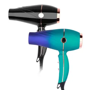 OEM ODM Custom Air Hair Dryer for Fast Drying with 2 Speed/3 Heat Setting Function 2024 Top Seller