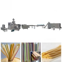 Machine extrudeuse automatique pour la fabrication de pailles à boire comestibles biodégradables en riz, ligne de production de pailles en riz, directement de l'usine