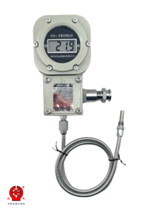 Ex d IIC T6 Flameproof Digital Temperature Gauge Battery Powered Pt100 RTD IP66 Stainless Steel <strong>Probe</strong> - Product Image 5