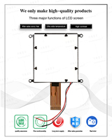 Pabrik langsung 160x160 Dot Matrix tampilan LCD COG 160160 tampilan grafis layar dengan UC1698 Meter layar 160x160 modul LCD