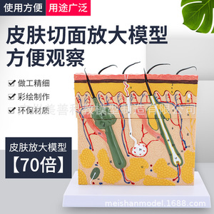 ,, - Product Image 5