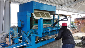 Bandeja De Ovo De Papel Que Faz A Máquina De Polpa De Papelão De Resíduos De Papel Imprensa Quente Moldagem De Polpa De Papel Linha De Produção De Bandeja De Ovo - Product Image 2