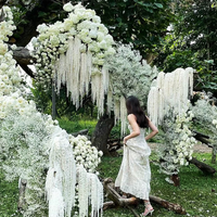Fleur d'amarante séchée et préservée, toucher réel, orange brûlé et vert clair, pour décoration florale suspendue de mariage, Fête des Mères, Pâques