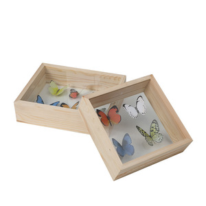 Boîte à spécimens de papillons, boîte en bois avec couvercle transparent, boîte de rangement pour spécimens d'insectes et de plantes, boîte de présentation de spécimens de papillons en bois - Product Image 3