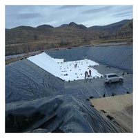 Bâche de bassin en HDPE LLDPE de 500 microns pour étangs à poissons, fermes de crevettes, feuilles de PVC géoflexibles pour projets de lacs artificiels à Singapour