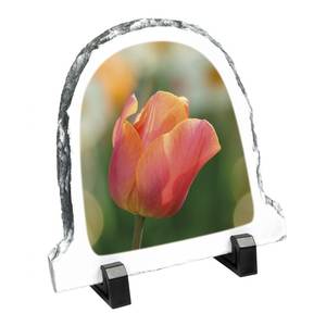 Pietra di Campana per Sublimazione 14x15 cm - Product Image 1