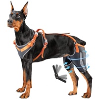 Attelle de genou pour chien personnalisée pour les pattes arrière avec charnière en métal, attelle de soutien pour chien ACL/CCL