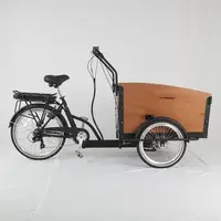 Bicicleta de carga usado para adultos bicicleta triciclo de carga elétrica