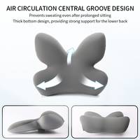 Coussin de soutien lombaire ergonomique en mousse à mémoire de forme rafraîchissant et confortable pour fauteuil roulant, OEM ODM, pour le soulagement du dos des conducteurs de voiture