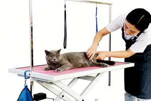 Table de toilettage pour animaux de compagnie en acier inoxydable pliable et réglable en hauteur pour chiens et chats à vendre - Product Image 5