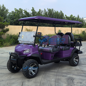 Coches Eléctricos, Carros Eléctricos, Vehículos Turísticos Eléctricos, Vehículos de Golf Eléctricos, Buggies de Golf, Carros Eléctricos Chinos, Buggies Eléctricos - Product Image 3