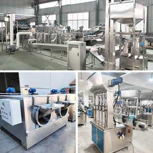 Planta de Fabricación de Línea de Producción de Mantequilla de Maní con Molino Coloidal Totalmente Automatizado a Precio Económico - Product Image 2