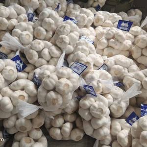 كيس شبكي عالي الجودة للمشروبات الطازجة 1 من الصين للتصدير الطبيعي من التوابل والأعشاب - Product Image 4