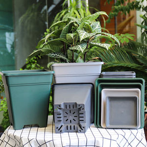 Carré Changsheng <span class=keywords><strong>Aoyama</strong></span> pot de roses en plastique pour plantes d'intérieur, pot de fleurs, pots de jardinières - Product Image 2