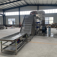 Secadora Industrial TEK Machinery para Yuca, Chile y Pimiento, Máquina Secadora de Banda de Malla de Aire Caliente