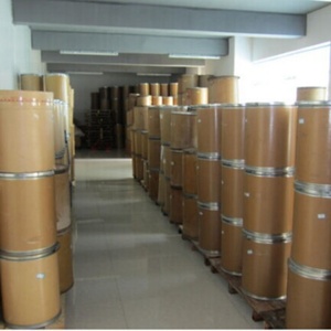 Poudre de probiotiques en gros Lactobacillus Fermentum avec 10 milliards d'UFC Capsules pour le bien-être digestif - Product Image 4