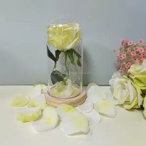 Bảo quản hoa thiết kế thạch cao Trần Rose mãi mãi hoa hồng Hoa nhân tạo trong Glass Dome Nhà cung cấp trang trí với Hộp quà tặng