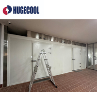 Chambre froide de plain-pied Hugecool OEM, congélateur rapide, chambre de réfrigération, chambre froide de stockage