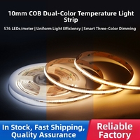 Bande LED COB double CCT 10 mm, 576 LED, 24 V, 6 combinaisons de températures de couleur, gradation à trois tons, IRC 90, pour éclairage intérieur de magasins et salles d'exposition