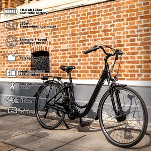 36V 250W Electric Beach Cruiser Bike 7-Gang-Gabelfahrrad aus Aluminium legierung für Erwachsene und Familien - Product Image 4