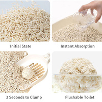 Tofu absorbant chat litière sable OEM 10L usine Premium vente en gros de charbon de bois plante naturelle agglutinable Toufu chat litière