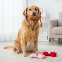 Jouet pour chien en forme de cœur en chocolat pour la Saint-Valentin, jouet interactif en peluche qui couine avec tissu et corde résistants aux morsures pour chiens