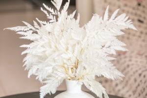 Venta al por mayor mejor venta preservada hoja de helecho de montaña floristería accesorios Dreid flor Davallia Mariesii para la decoración de vacaciones - Product Image 5