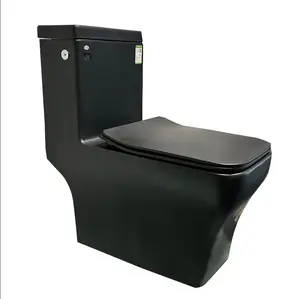 Luxury Matt Black Rimless Ceramic Siphonic 1 Piece Toilet Wash Down For Bathroom
