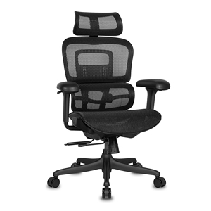 Silla de Oficina de Malla Premium con Soporte Lumbar Ergonómico - Product Image 1