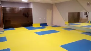 Tekvando paspaslar için 2023 Eva paspas Karate dövüş sanatları Judo 2.5cm 5 hatları fabrika birbirine bulmaca Tatami Mat