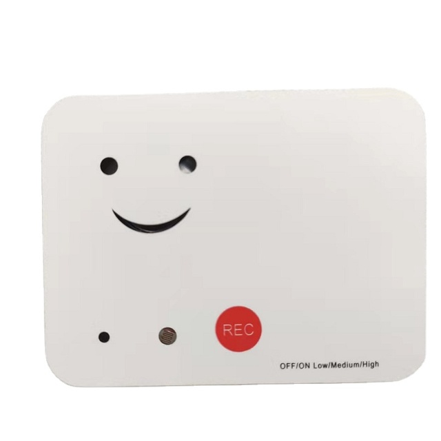 Customize Diy Personalized Audio Card Voice Recordable Talking Musical Audio Birthday Gift Song Greeting Card