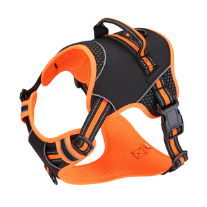 Ensemble de harnais pour animaux de compagnie, laisse pour chien, anti-évasion, réfléchissant, taille moyenne, sangle de poitrine, jaune orange - Product Image 2