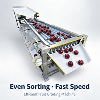 Sorteermachine voor blauwe bessen, fruit, groenten, aardappelen, aardbeien, tomaten, appels, mango's, meloenen; sorteermachine op maat; fruitverwerkingsinstallatie