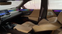 ZYCELA Lexus ES 2021-2024 Luz Ambiental LED Activa Symphony 64 Colores Flujo Inteligente Mejora Interior Automática APP 12V 1 Año
