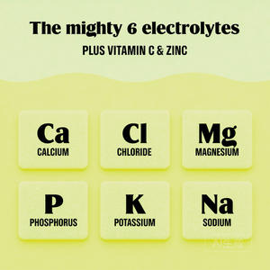 Paquetes de Bebida Electrolítica en Polvo de Marca Privada/OEM |   Sin Azúcar 0 Calorías |   6 Electrolitos + Vitamina C |   5 Sabores |   20 Palitos - Product Image 3