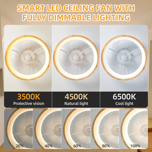 Bán buôn tùy chỉnh hiện đại 20-inch LED quạt trần với điều khiển từ xa 5 lưỡi gỗ mờ thời gian và động cơ 3 tốc độ - Product Image 5