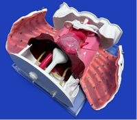 Simulateur d'entraînement à l'endoscopie thoracique, modèle de côtes ouvrables avec saignements simulés pour l'enseignement des opérations VATS en milieu hospitalier