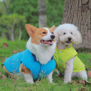 Abrigo acolchado de algodón grueso para perros, ropa para cachorros Bichon Frise Corgi, ropa para mascotas de otoño e invierno, azul cielo, amarillo fluorescente - Product Image 1