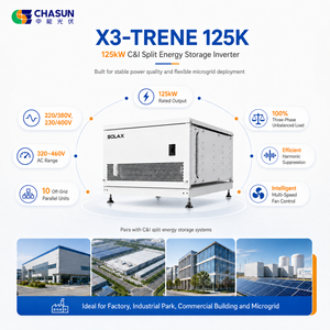 Onduleur de stockage d'énergie triphasé AC <span class=keywords><strong>SolaX</strong></span> X3-TRENE 125K, efficacité 98%, surdimensionnement 200%, 10 parallèles, charge 100% asymétrique - Product Image 4