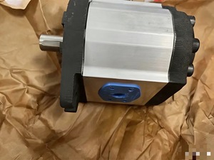 Hydraulic Pump GR47 GR55 G47C G55C G38C G33C G72V Series Injection Molding <b>Machine</b> Oil Pump G47C040FSBT13ODV - Product Image 4