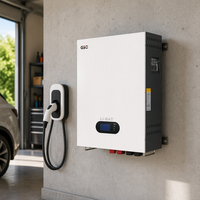 GSO Batteries au lithium-ion 48V 100ah Batterie au lithium murale Système d'énergie solaire avec batterie au lithium